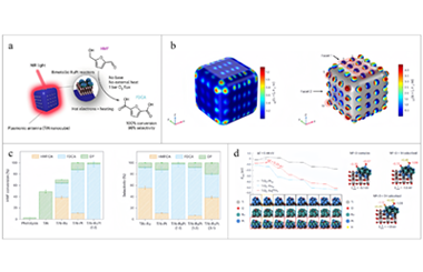 Innovative plasmonic photocatalysis for biomass upgrading 2026.100918